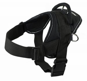 Boxer Harness