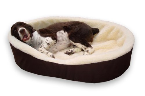 best dog bed for boxer