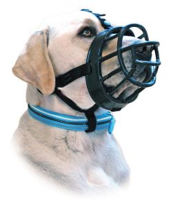 Dog Muzzle For Boxer